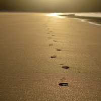 Footprints in the sand on the beach