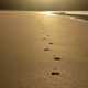 Footprints in the sand on the beach