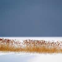 Frozen Winter lake landscape