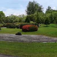 Gardens landscape with flowers and trees