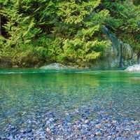 Green Water and forest with rocks 