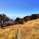 Hiking Path on the mountainside into the trees