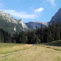 Hiking Trails into the Mountains