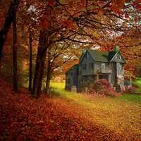 House under Autumn Trees