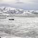 Icy Ocean and hills 