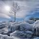 Jack Darling Park, Mississauga winter ice landscape