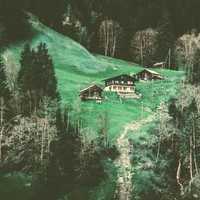 Landscape and Cabins in the Conifer forest