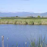 Landscape at Ninepipes Bird Refuge