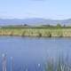 Landscape at Ninepipes Bird Refuge