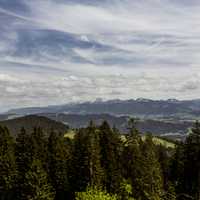 Landscape of mountains and trees