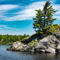 Landscape of the shore with rocks and tree