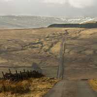 Landscape with plans and road