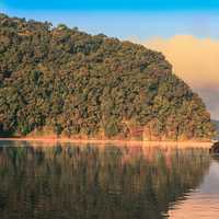 Landscape with trees,water, and lake