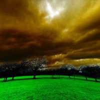 Light Effect with clouds over grass and trees