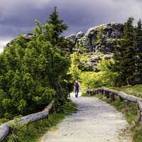 Man hiking towards the mountain on the hiking path