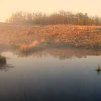 Misty morning by the pond