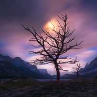 Moon rising on a purple sky