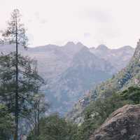 Mountain Landscape with trees