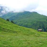 Mountain Meadow with fog over the peaks