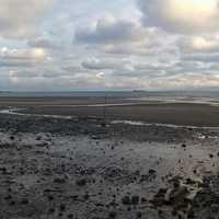 Muddy beach landscape