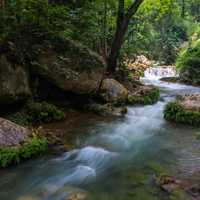 Nature Stream with rushing rapids