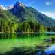 Pine Forest and reflection on water