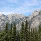 Pine tree line and Mountains landscape