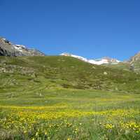 Prairie and Mountain Landscape