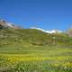 Prairie and Mountain Landscape