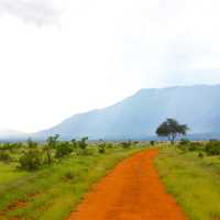 Red Dirt Road Landscape