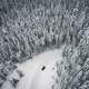 Road through Snow covered pine forest