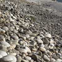 Rocks on the ground landscape