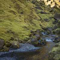 Running stream down the mountainside