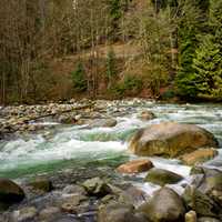 Rushing Stream Nature landscape