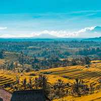 Scenic landscape with valley and mountains