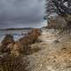 Scenic shoreline landscape under clouds