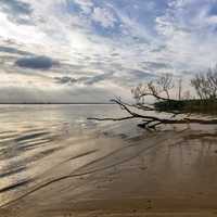 Shoreline with clouds in the sky during late afternoon