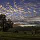 Sky over the farm landscape with cow at dusk