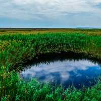 Small Pond in the grasslands