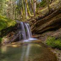 Small Waterfall in the forest scenic