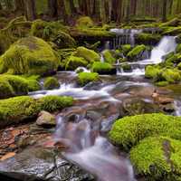 Smooth Rapid Water Running down the creek