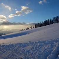 Snowy Hill Landscape 