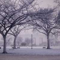 Snowy landscape with trees and benches