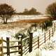 Snowy Ranch Landscape 