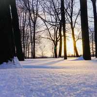 Snowy Winter landscape in the forest