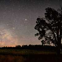 Stars and the Milky way over the night landscape with cabin and tree