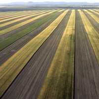 Strip Cropping on a farm