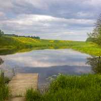 Summer landscape with Pond and Sky