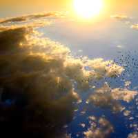 Sun and sky with birds and clouds
