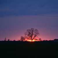 Sunset and purple sky landscape